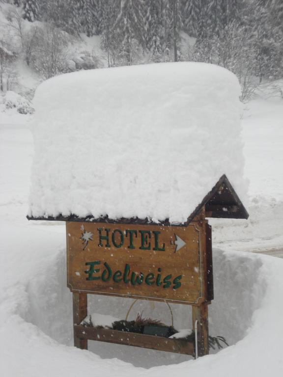 Hotel Edelweiss Val di Zoldo Eksteriør bilde